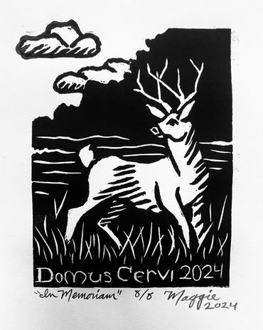 deer standing in field, "Domus Cervi 2024"