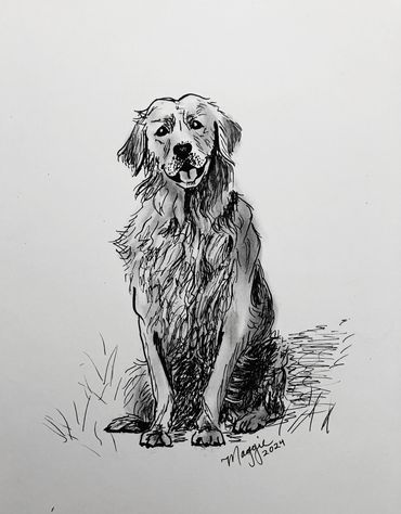 smiling golden retriever dog