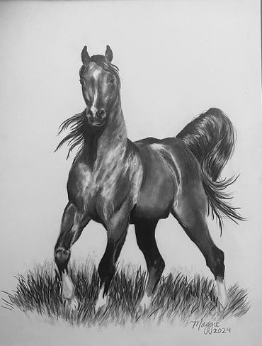 horse trotting towards the viewer