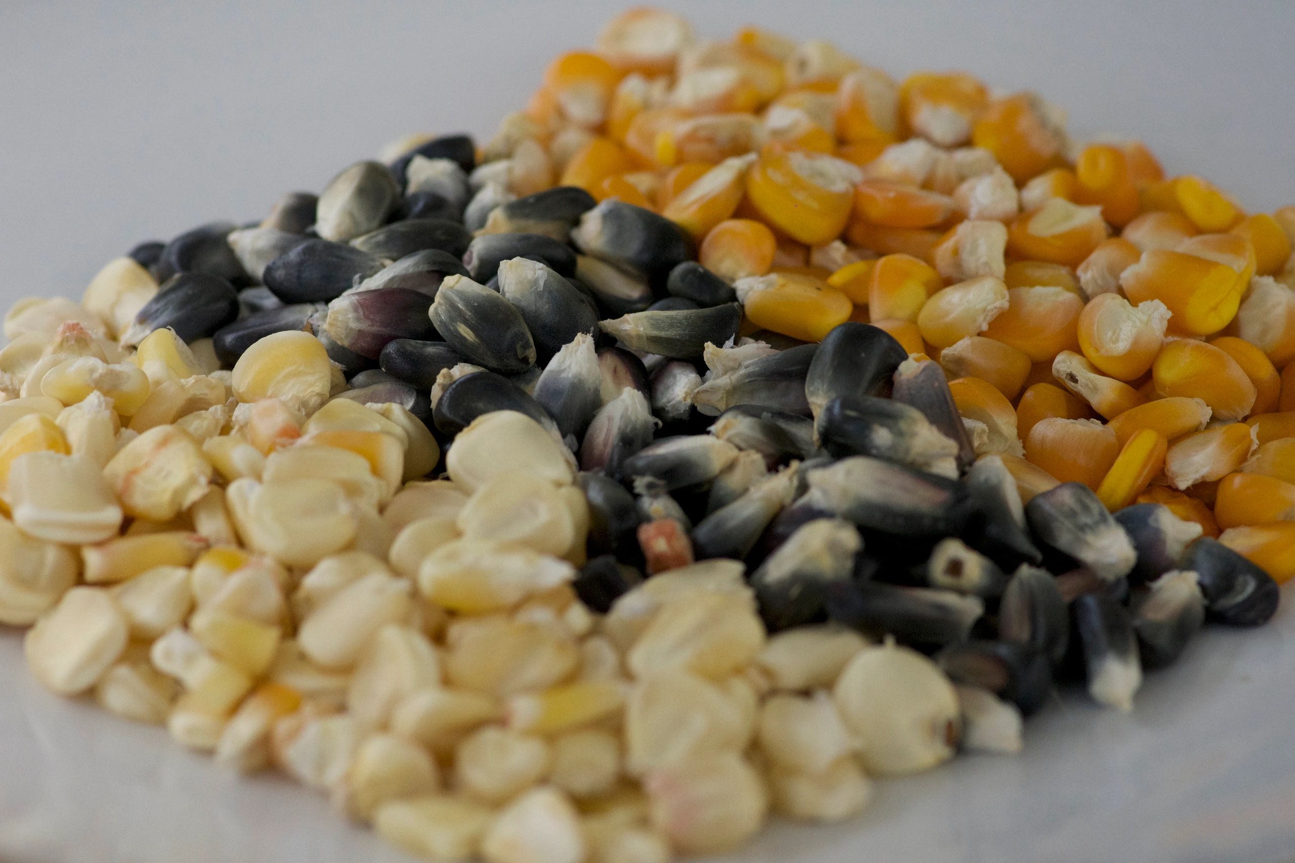 Every dish at La Casa Bronxville is made from scratch, with fresh, local, seasonal produce.