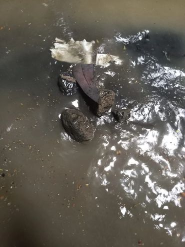 Limpieza fosa sanitaria.