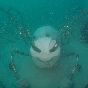 "Eco-Bug" by Sea Sirens/Priscilla D'Brito in Florida, US.
Scanning & Modeling by EES Design Studio