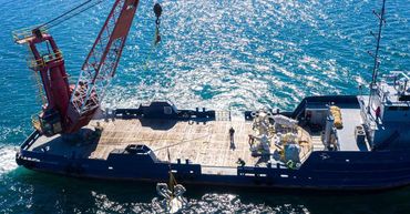 "Eco-Bug" by Sea Sirens/Priscilla D'Brito in Florida, US.
Scanning & Modeling by EES Design Studio