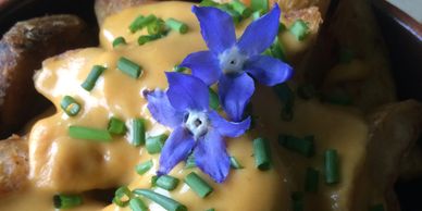 Plant based cheese sauce
