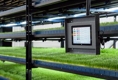 Automated Hydroponic Growing System.