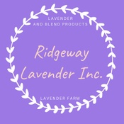 Ridgeway Lavender