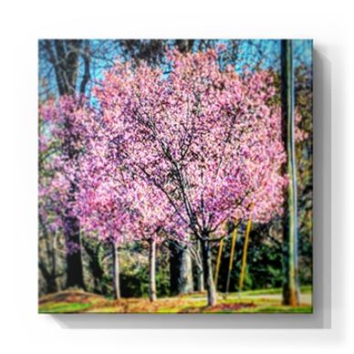 Kristen Thomasino, KT's Casebooks, Real Estate, Photography, Flowers, Social Good, Artist, Art
