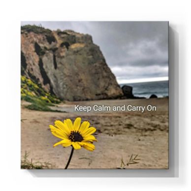Kristen Thomasino, KT's Casebooks, Real Estate, Photography, Flowers, Social Good, Artist, Art