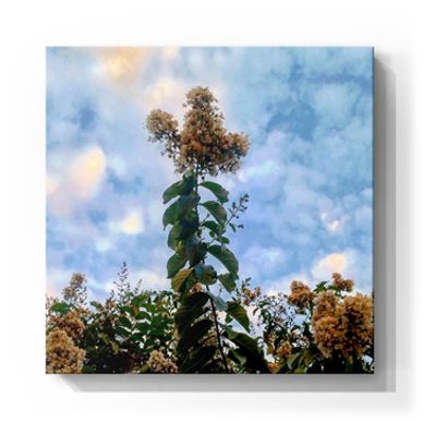 Kristen Thomasino, KT's Casebooks, Real Estate, Photography, Flowers, Social Good, Artist, Art