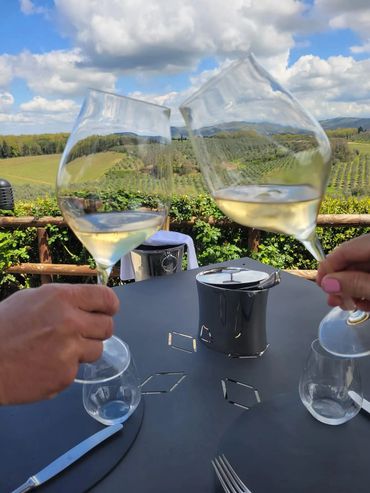 Two people clink white wine glasses with a vineyard view.