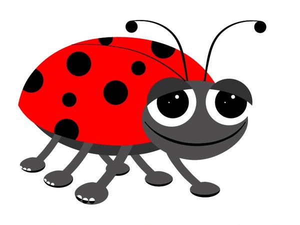 Actual ladybug image.