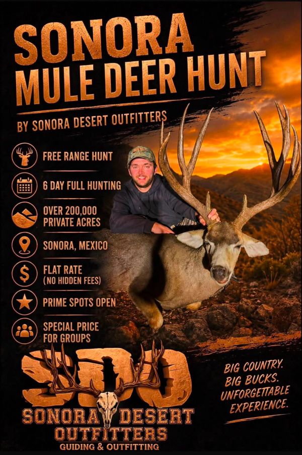 Advertisement for Sonora Mule Deer Hunt by Sonora Desert Outfitters.
