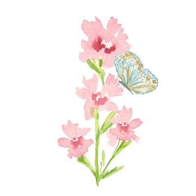 Flower Illustration