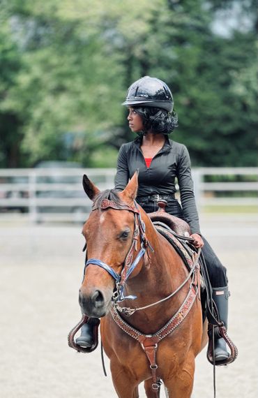 Gorgeous horses to boost your social media posts!