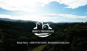 The Bird's Treehouse