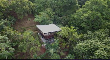 Enmedio de un bosque de alimentos.