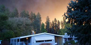 Paradise Survivor image