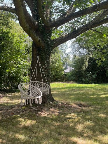 Two white hanging chairs on a tree in a lush garden.