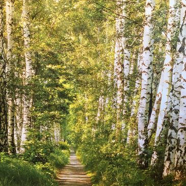 Veien blir til mens du går
Gå heller en tur i skogen enn i kjelleren
Ulike behandlingsvalg
