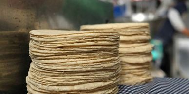 Punto de Acuerdo del Senador Gustavo Madero para promover el consumo de la tortilla nixtamalizada