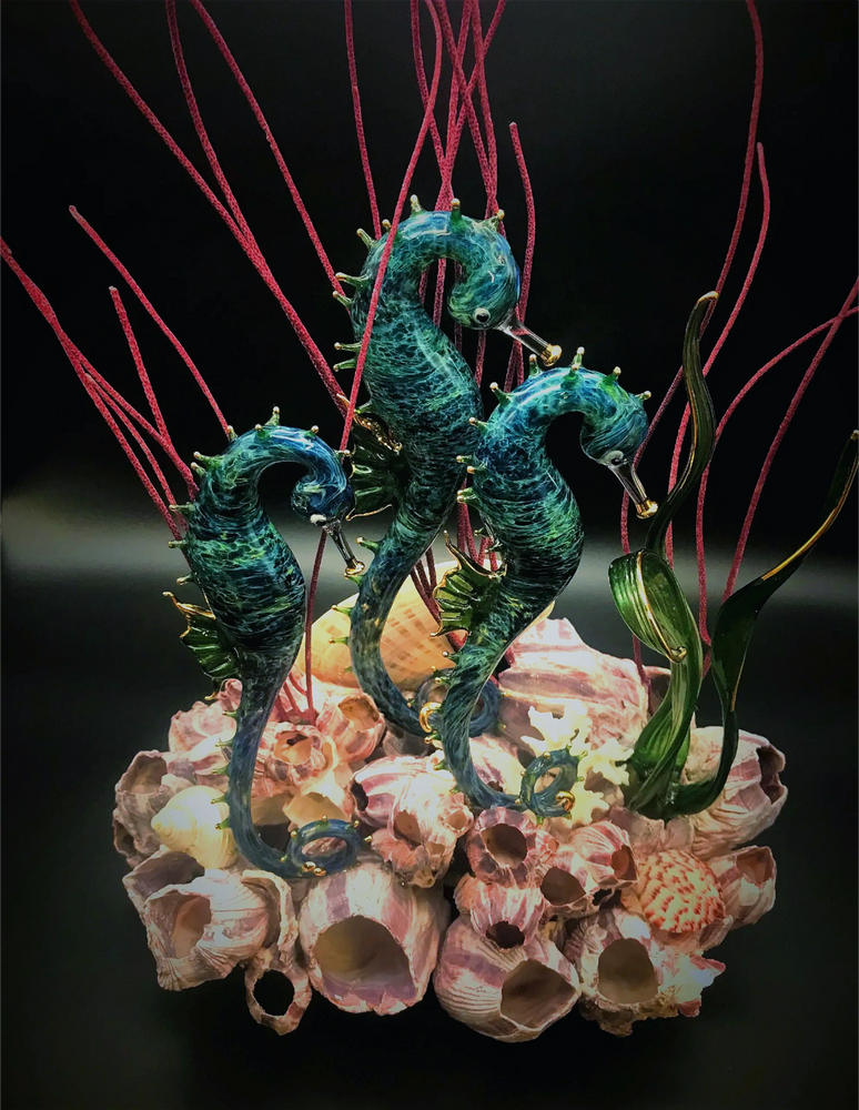 Triple seahoses on Barnacles