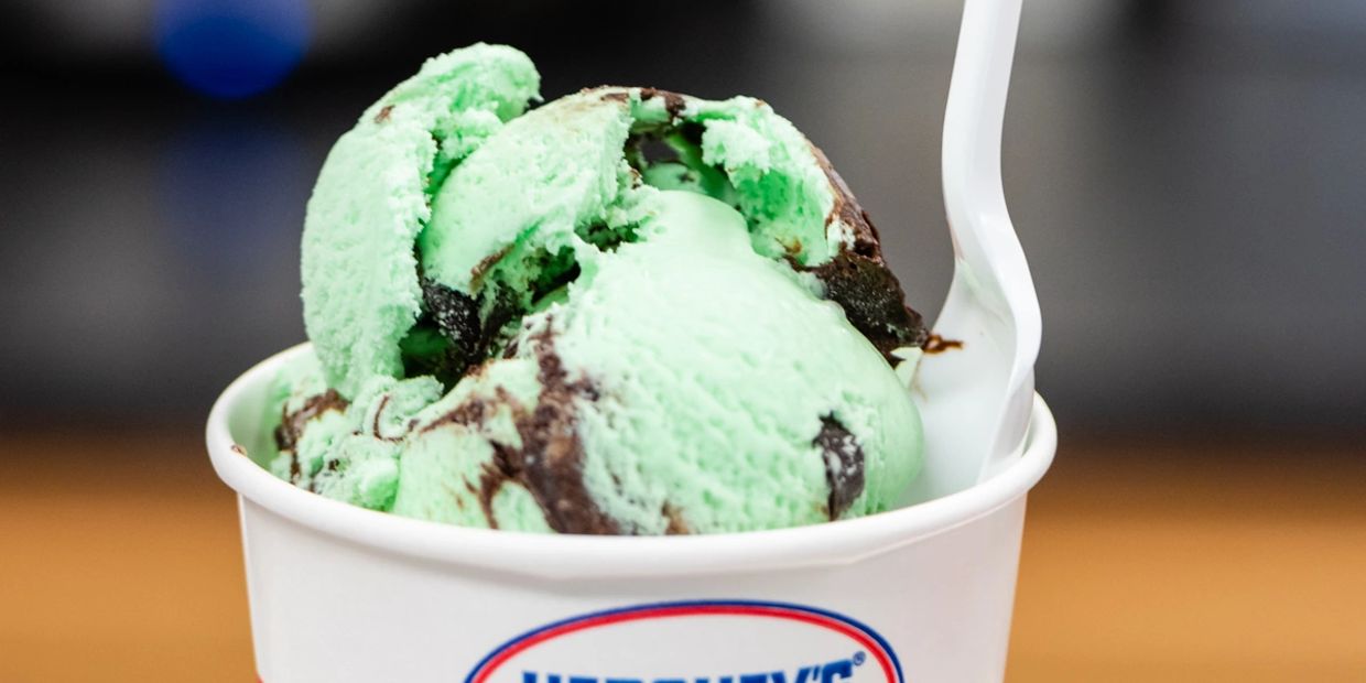 A cup of mint chocolate chip ice cream with a white plastic spoon.