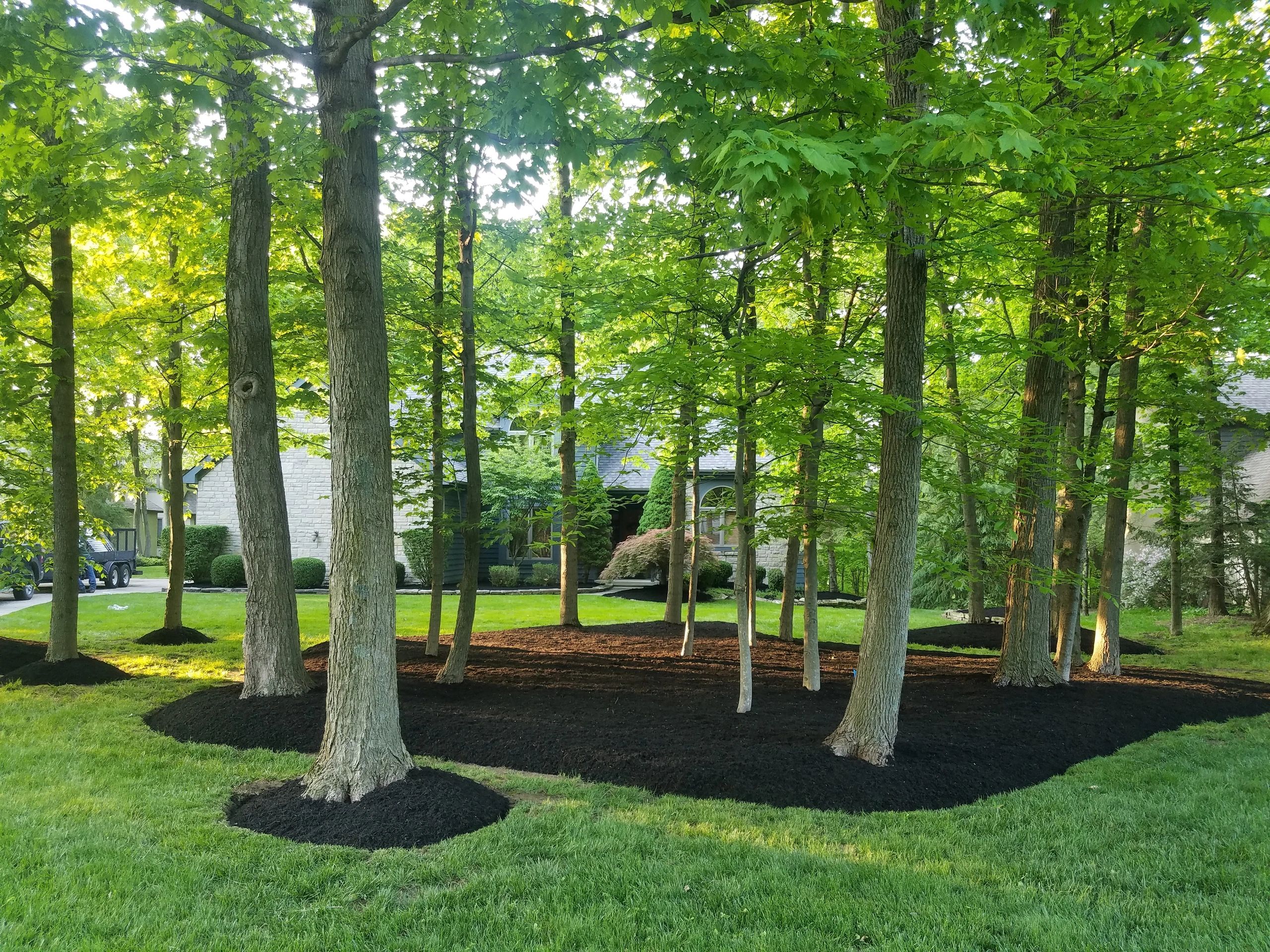 JMlandscape JM Landscape & Tree Services