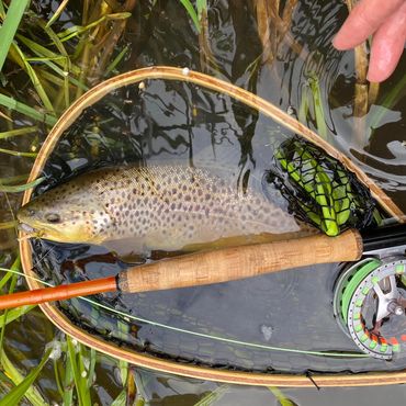 River Whitewater Brown Trout