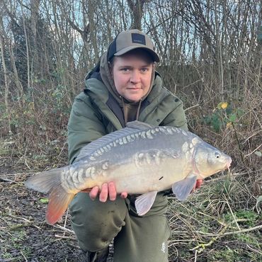 Mirror Carp