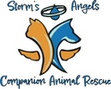 Storm’s Angels Rescue