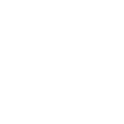 Revelry