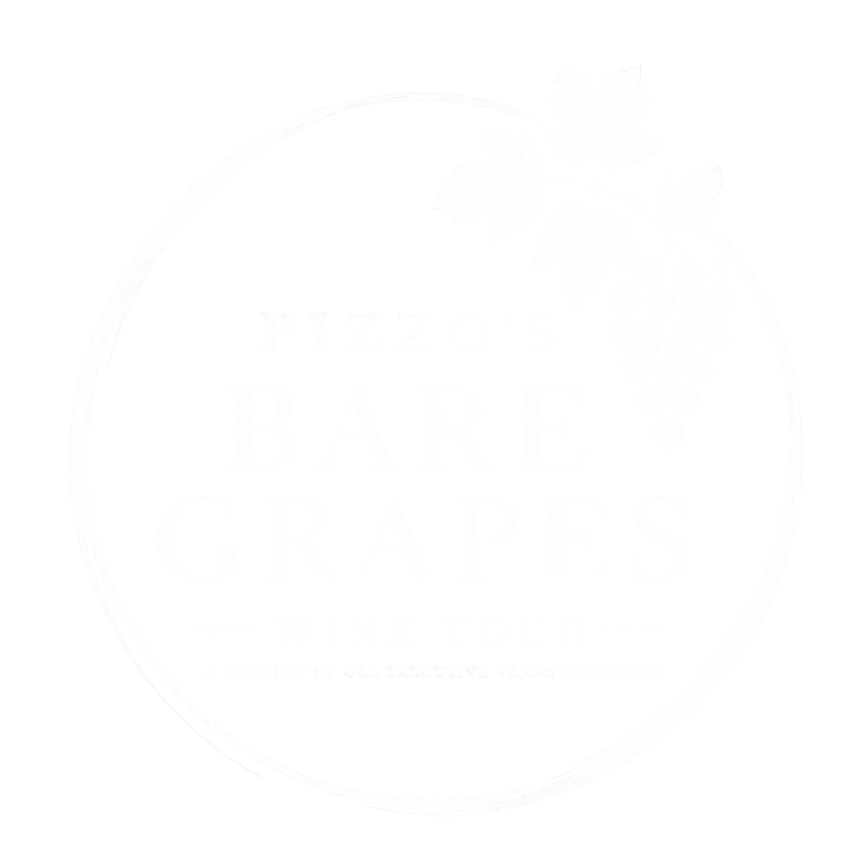Pizzo's Bare Grapes private Finger Lakes wine tour by GLS Executive Transportation Group