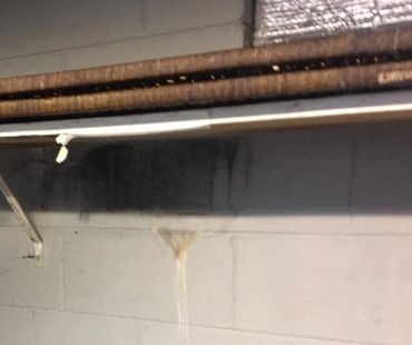 Mold removal in Indianapolis Indiana Indy IN. Mobile Dustless Blasting