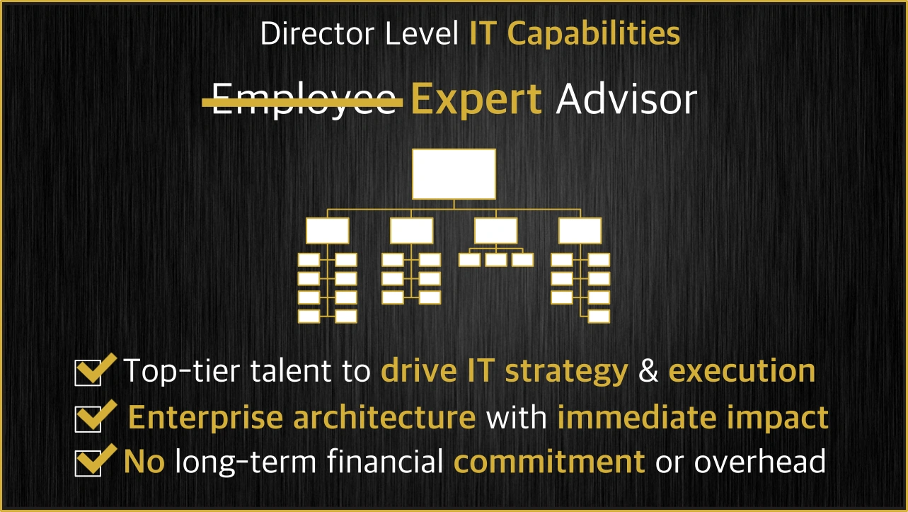 Director-level IT capabilities with expert advisor.