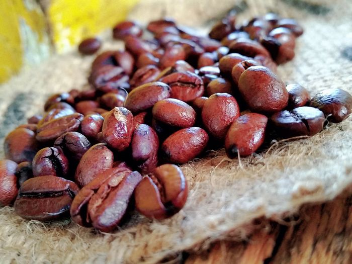 Fresh Gourmet Coffee Beans Roasted for IPM Coffee, Innovations, LLC