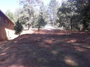 Defensible Space After Mastication and brush removal