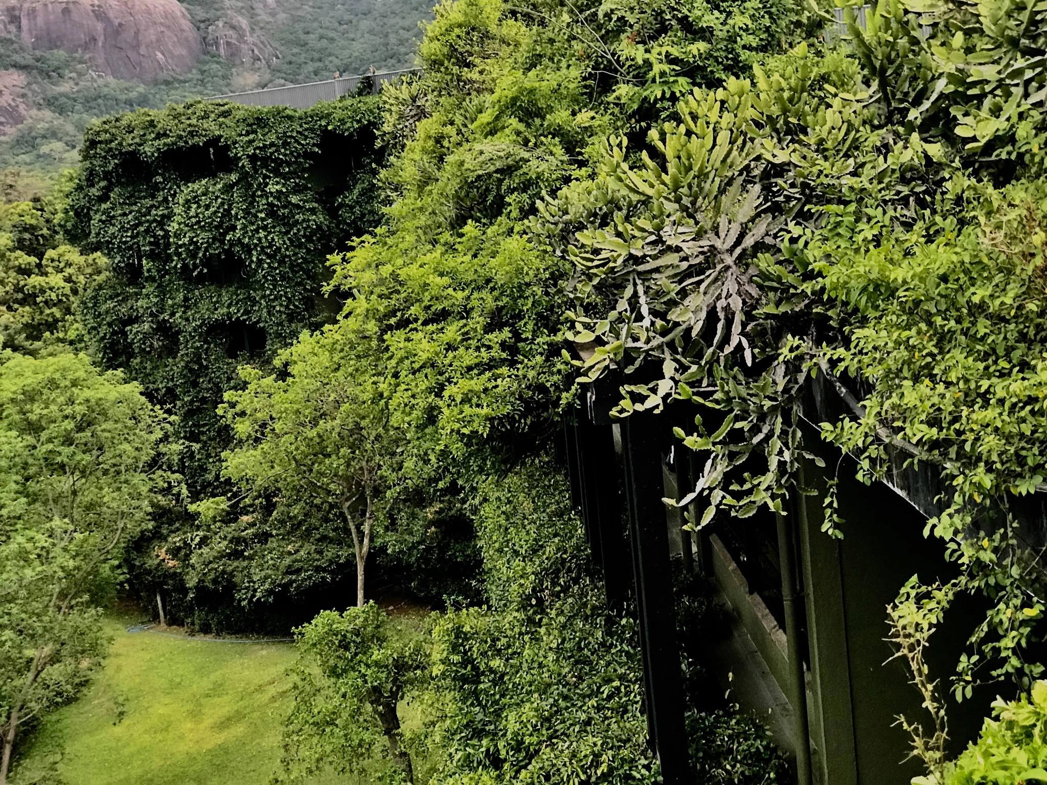 SATHAR AL KARAN satharalkaran sathar emiratism 1971 event manager expo2020dubai royal sponsors dubai