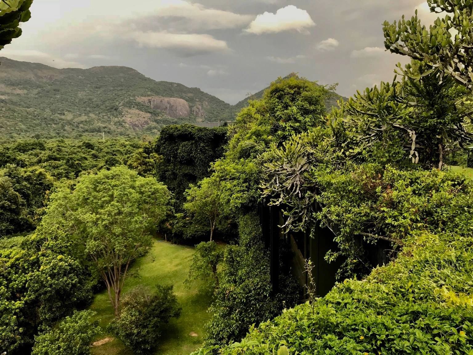 HERITANCE KANDALAMA RESORT SITUATED INSIDE KANDALAMA FOREST, WORLDS NO 1 ARCHITECT BY SALIM BAVA