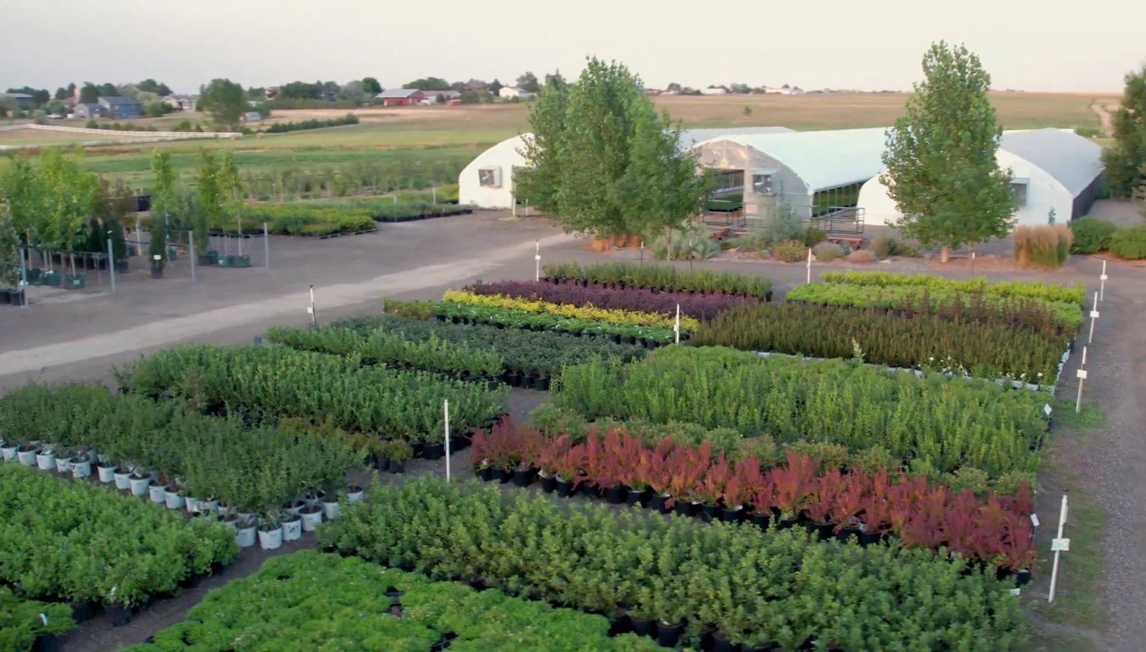 3M Farms