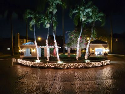 Palm trees wrapped in white lights at night in a cobblestone courtyard.