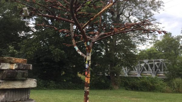 Custom steel sculpture of an oak tree in various sizes