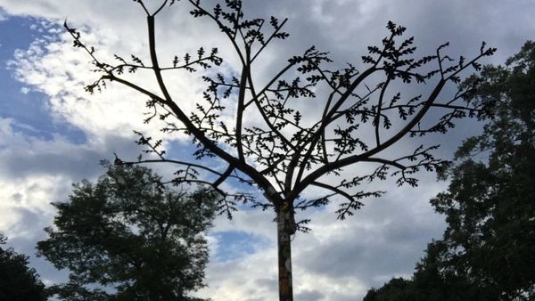 Custom steel sculpture in the lights of the Lockn music festival stage