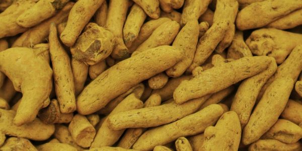 Close-up of dried turmeric roots.