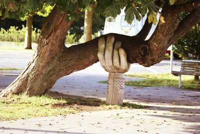Sculpture of a hand placed underneath a leaning tree so it appears to be holding it up.