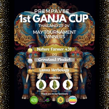 1st Tournament cannabis ganja marijuana Cup Prempavee Thailand winners best access to the finals