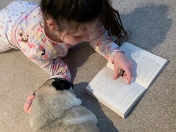 girl reading stories to a pug