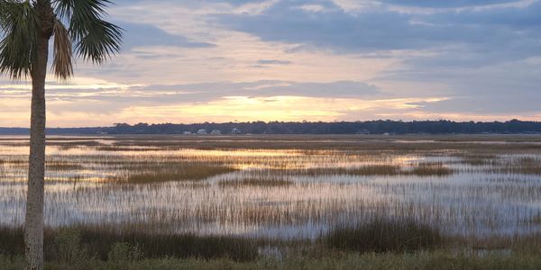 Early morning view of marsh