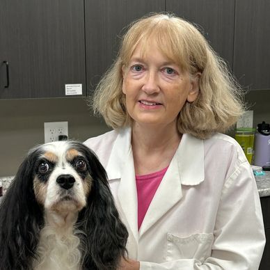 Dr. Christy Wauhob will be joining PMCU in July 2026! She grew up in Sioux City completed her underg