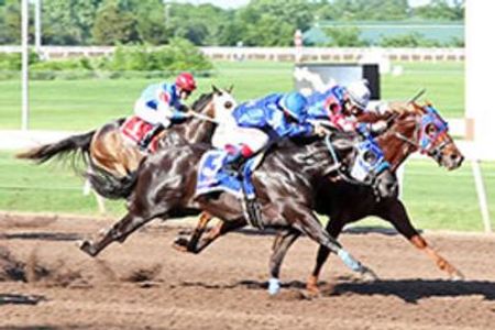 racehorse
Mary Janes hero