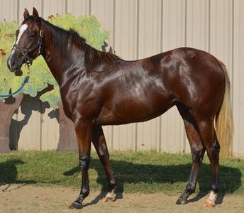 Iona EC  - Tracy and Louisiana Senator qualified 4th for the Firecracker in Louisiana